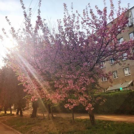 Сучасна Квартира В Центрі Міста Oezjhorod Buitenkant foto