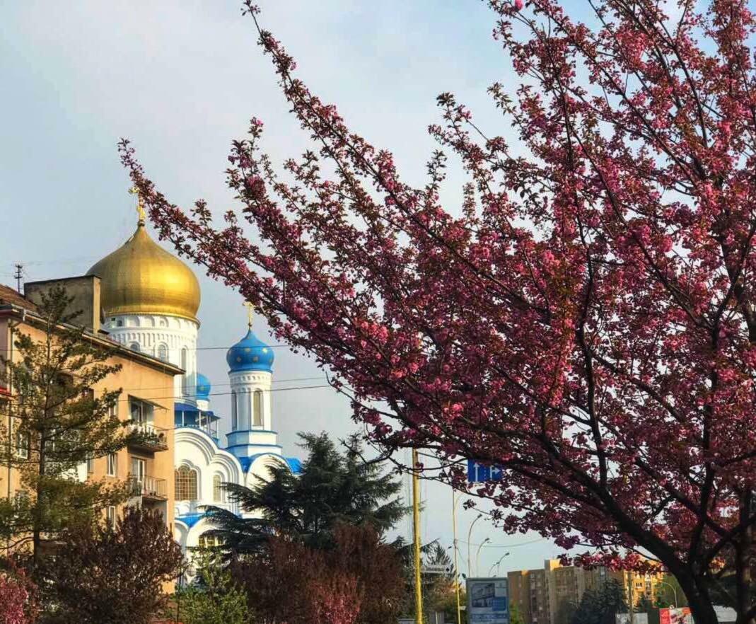 Сучасна Квартира В Центрі Міста Oezjhorod Buitenkant foto