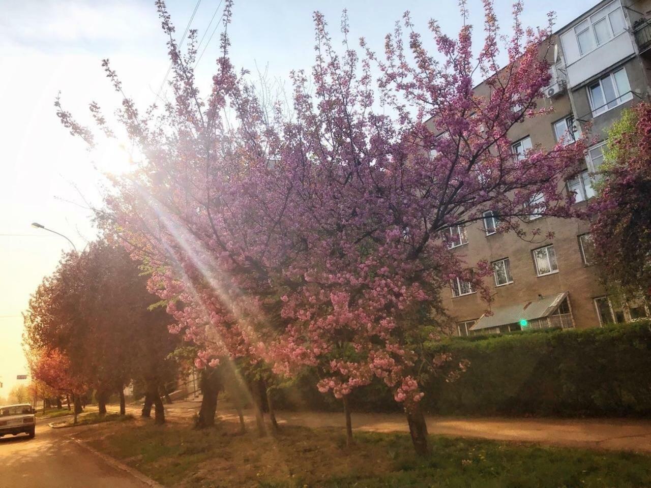 Сучасна Квартира В Центрі Міста Oezjhorod Buitenkant foto