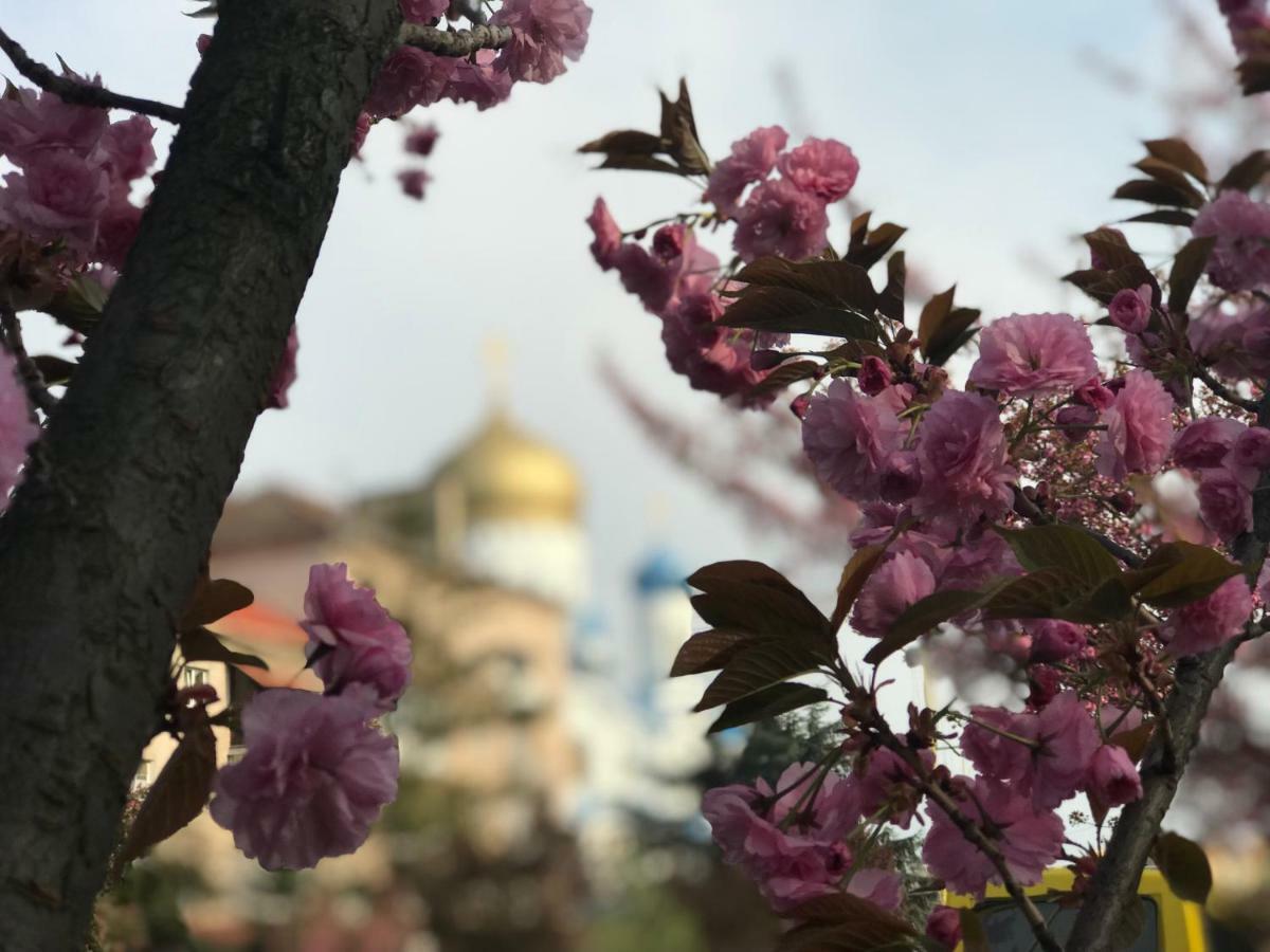 Сучасна Квартира В Центрі Міста Oezjhorod Buitenkant foto