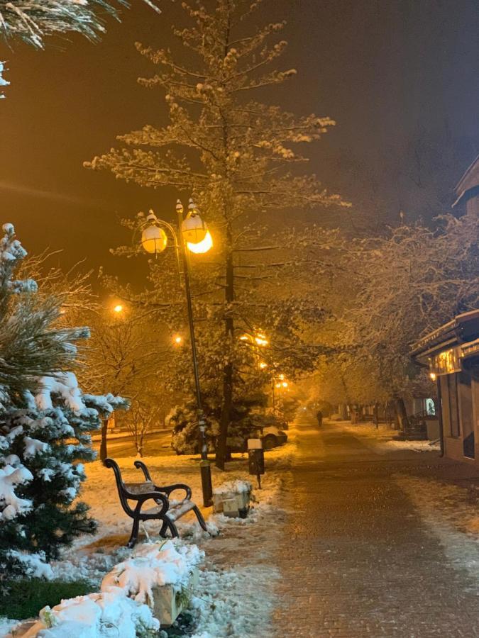 Сучасна Квартира В Центрі Міста Oezjhorod Buitenkant foto